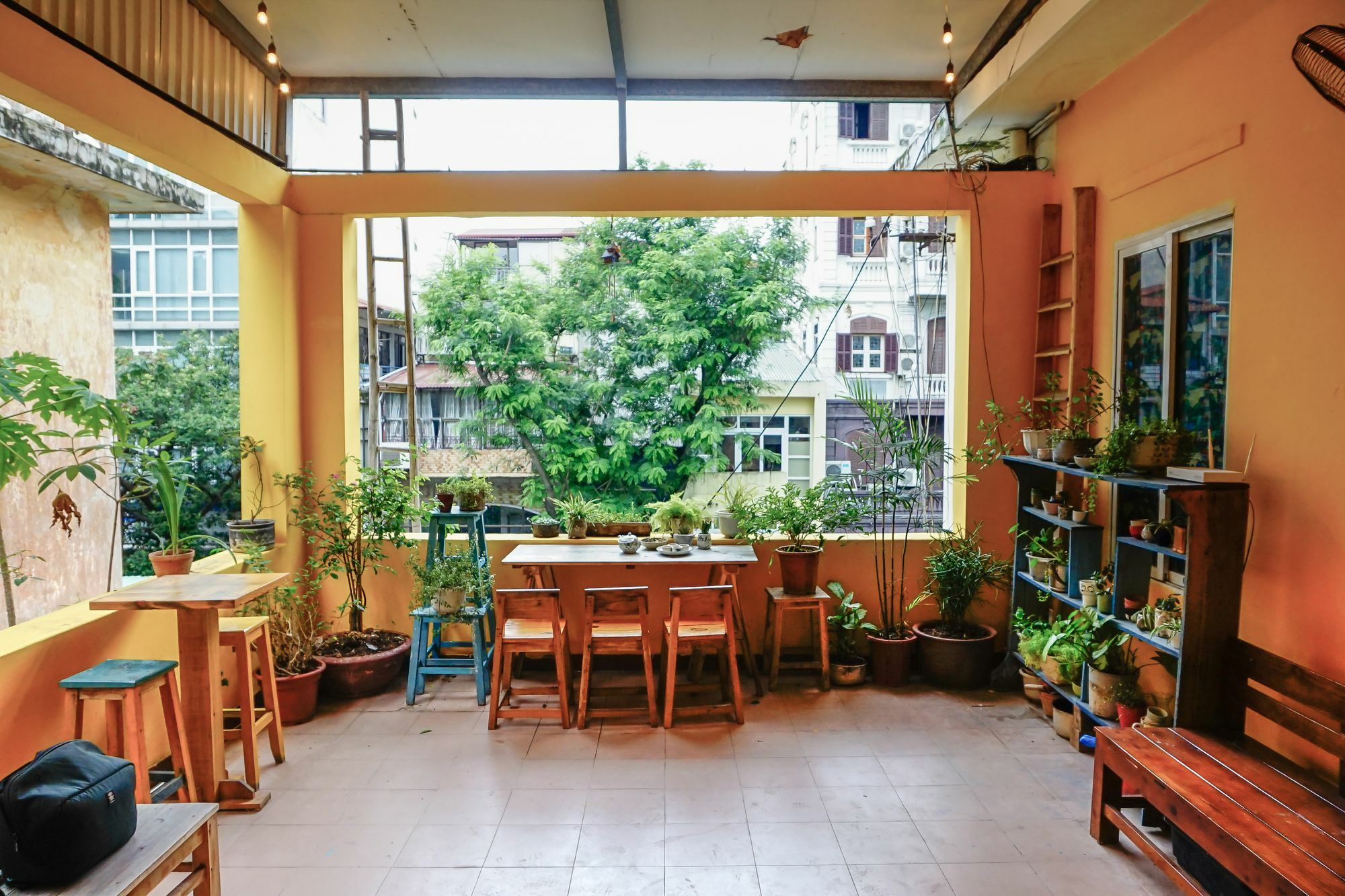 Khách sạn Papaya Gypsy Vibe 2*